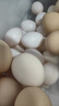 均鲜新鲜土鸽子蛋杂粮喂养农家特产白鸽蛋信鸽蛋孕妇宝宝年货节礼盒装 30枚750g左右精选大个种鸽蛋 实拍图
