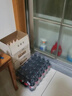 可口可乐（Coca-Cola） 零度 Zero 无糖汽水碳酸饮料 300ml*24瓶 整箱装 实拍图