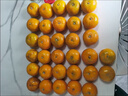 柏馋广西沃柑新鲜纯甜橘子当季时令水果桔子柑橘应季整箱正宗当季 精选9斤净重8.5斤 特大果70mm+ 实拍图