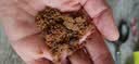太古红糖纯正老红糖袋装速溶红糖粉月子大姨妈红糖水烘焙原料350g/袋 【体验尝鲜】红糖350g 实拍图