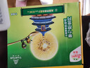 佳沛（zespri）新西兰  阳光金奇异果16粒礼盒经典果单果约 77-103g 水果 猕猴桃 实拍图