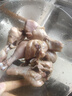 泰森（Tyson）鸡琵琶腿4斤 鸡肉 鸡腿 鸡大腿 炸鸡烤鸡卤鸡 烧烤冷冻生鲜食品 实拍图