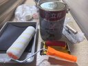 立邦京雅居金标超值乳胶漆净味120二合一无添加环保内墙漆5L/约7kg 实拍图