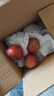 山姆大叔云南昭通丑苹果【多地次日达】冰糖心粉脆甜富士新鲜水果礼盒 【金奖·高原黄金甜】巨无霸｜80mm+ 3斤装（实惠尝鲜-较划算）净2.5 实拍图