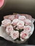 京东鲜花玫瑰花粉色随机10枝如意基地鲜切花水养插花生活花束送礼源头直发 实拍图