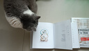 猫心经 实拍图