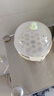 小熊（Bear）煮蛋器蒸蛋器家用多功能迷你早餐神器鸡蛋羹蒸鸡蛋器蒸蛋机炖蛋器蒸蛋锅 单层 【无碗】ZDQ-B07T2 实拍图
