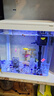 【京东物流】鱼缸京东自营一体缸免换水全自动热弯懒人桌面玻璃 热弯水族箱-标配 240*170*270mm 实拍图