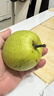 京地达梨砀山翠玉梨翠冠梨新鲜香梨子水果净重8.8斤单果250g+源头直发 实拍图