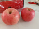 京鲜生 山东栖霞红富士苹果精品12粒 单果190g-240g  水果礼盒 实拍图