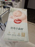 好奇（Huggies）小森林纸尿裤M50片(6-11kg)尿不湿心钻【透氧顶配更低敏】 实拍图