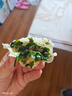 悦味纪 柳叶海菜包360g*2包 12只 裙带菜肉馅 手工薄皮肉包子早餐半成品 实拍图