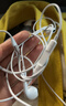 Apple/苹果 闪电/Lightning接口有线耳机 苹果耳机有线耳机原装耳机 适用闪电接口的手机平板 实拍图
