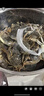 【活蟹】网兜蟹辽宁盘锦河蟹稻田河蟹礼盒螃蟹鲜活大闸蟹无绳净重 全母蟹丨1.3-1.6两【4斤】25-31只 实拍图