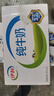 伊利纯牛奶整箱 250ml*24盒 优质乳蛋白 严选牧场 礼盒装 8月底产 实拍图