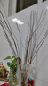 干枝雪柳水插花水培鲜花室内客厅阳台观花绿植鲜枝水养年宵花卉植 雪柳75CM高20支不含瓶 实拍图