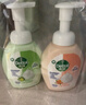 滴露泡沫洗手液250ml*2+内衣除菌液750ml 洗衣消毒液儿童洗手护手 实拍图
