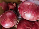 京鲜生 甘肃紫皮洋葱带皮 净重5斤 单果300g+ 新鲜蔬菜源头直发 实拍图