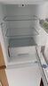 美的（Midea）181升两门冰箱白色两门小户型客厅家用电冰箱租房宿舍低音节能低噪可冷藏冷冻不占地MR-190E 实拍图