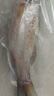仙泉湖三去大白蕉海鲈鱼2斤/条净膛冷冻刺少肉厚海鲜水产生鲜食材 实拍图