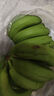 高山香蕉广西产地直发薄皮青果软糯香甜自然熟当季新鲜采摘纯天然 高山香蕉1斤 实拍图