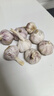 【营田半亩】蒜干蒜头蒜大蒜紫白皮大蒜当季蔬菜0.5-5斤 250克袋装【果径3.5-4.5cm】中果 实拍图