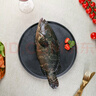 鲜活龙胆石斑鱼450-550g/条 实拍图