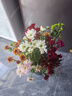 【七彩小雏菊】鲜切花混搭混色多头鲜花插瓶水养花期长七夕礼物 随机混色小雏菊50CM10枝 实拍图