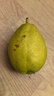 京鲜生新疆库尔勒香梨3斤装 全母梨 单果100-120g 源头直发 包邮 实拍图