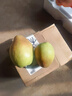 京喜加正宗河北香梨特级新鲜水果梨子当季脆甜多汁远达新1 香梨2粒 实拍图