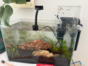 YEE超白鱼缸桌面客厅生态斗金鱼乌龟缸造景小型水草养鱼玻璃裸缸40cm 实拍图