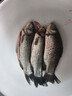 冰鲜三去鲫鱼300g 实拍图