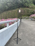 Rtako【热卖100W+ | 丢丢杆】手机自拍杆三脚架支架落地伸缩便携式旅游演唱会自拍神器360度旋转多功能 1.75米黑【双管铝合金】一丢即开 | 充电遥控 Ultra款【可落地手持 | 可装相机 实拍图