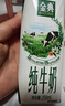 伊利【新鲜日期】金典纯牛奶整箱 250ml*16盒 3.6g乳蛋白 礼盒装 实拍图