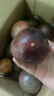 京鲜生 广西紫皮百香果 2斤装 约13-15粒 单果约70g 酸甜风味 新鲜水果 实拍图