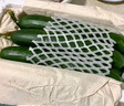 京喜加新鲜无刺水果小黄瓜小青瓜脆甜荷兰脆嫩生吃黄瓜蔬菜 水果黄瓜 2斤 带箱活动 实拍图