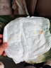 babycare金山茶花拉拉裤L38片(9-14kg)婴儿尿不湿超薄透气新生柔花苞裤 实拍图