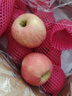 京鲜生 烟台红富士苹果 净重10斤 单果220g以上 水果礼盒 实拍图