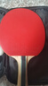 京东京造 雨燕一星乒乓球拍双拍2只装横横对拍训练套装双面反胶1星 横横板 实拍图