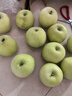 京地达山西青苹果 净重4.5斤单果180g起小苹果现摘酸甜脆爽源头直发包邮 实拍图