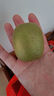 佳沛（zespri）新西兰阳光金奇异果 8个装 特大果单果重约122-146g 水果猕猴桃 实拍图