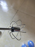 半自动打蛋器家用不锈钢搅拌器鸡蛋奶油打发器手动摇蛋神器调蛋器 小号10寸1个 实拍图