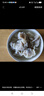 思念猪肉大葱水饺2kg约87只 早餐食品速冻饺子生鲜速食食品煎饺蒸饺 实拍图