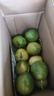 黄金百香果钦蜜9号新鲜当季现摘精选好果水果百香果鲜果酸甜可口 钦蜜9号黄金百香果 ＜40g小果 1斤 实拍图