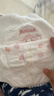 好奇（Huggies）铂金装小桃裤成长裤XL96片(12-17kg)加大号尿不湿【透爽散热】 实拍图