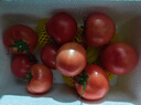京鲜生 山东普罗旺斯西红柿 净重4.5斤 单果115g+ 沙瓤番茄 源头直发 实拍图