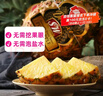 佳农 黑钻菠萝1粒装 巨无霸 菲律宾凤梨 净重3.6斤 生鲜水果 包邮 实拍图
