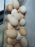 新鲜农家谷物鲜鸡蛋  现捡现发 破损包赔  营养早餐 20枚装（2斤） 实拍图