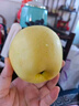 甜醉了 烟台苹果黄元帅粉面苹果黄金帅黄香蕉山东新鲜水果当季整箱鲜果 6枚中果（净重约2斤） 实拍图