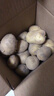 内蒙红皮大土豆新鲜黄心土豆现挖洋芋地蛋马铃薯粉面火锅批发 红皮土豆大果 2斤 【单果150g+】 实拍图